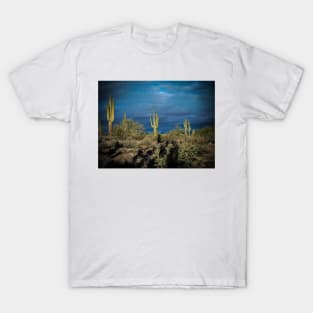 Arizona cloudy desert T-Shirt